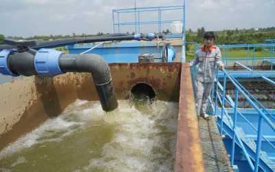 Hướng dẫn sử dụng phân bón hiệu quả